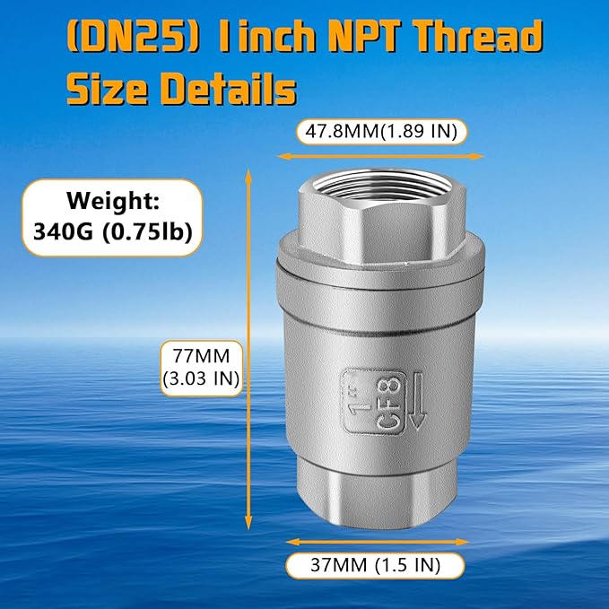 Boltigen 1 inch Spring Check Valve, 304 Stainless Steel CF8 Non Return One Way Horizontal Check Valve, Vertical Inline Water Check Valve for Well, Pump, Tank, Backflow Prevention, WOG 1000