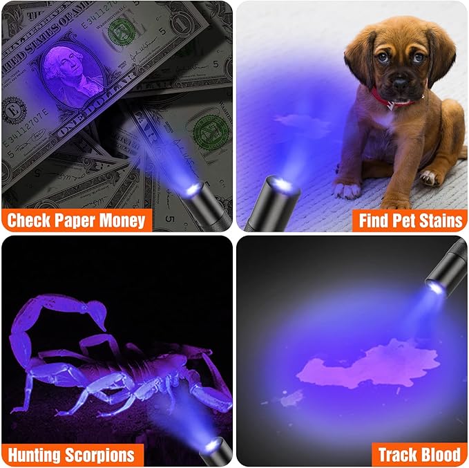 EverBrite Red Light Flashlight with 395nm Blacklight UV/White Light, Multi-Function LED Pocket Pen Light, AAA Batteries Included, for Night Vision, Pet Stain Detection, Camping