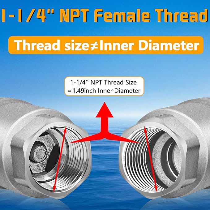 Boltigen 1-1/4 inch Spring Check Valve, 304 Stainless Steel CF8 Non Return One Way Horizontal Check Valve, Vertical Inline Water Check Valve for Well, Pump, Tank, Backflow Prevention, WOG 1000