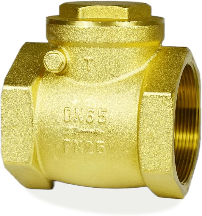 2 1/2" Swing Brass Check Valve DN65, One Way Oil Water Fuel Gas Air Check Valve to Prevent Water Backflow for Sump Pump and Air Compressor