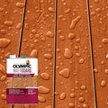 Olympic WaterGuard 1 gal. Woodland Cedar Semi-Transparent Wood Stain and Sealer